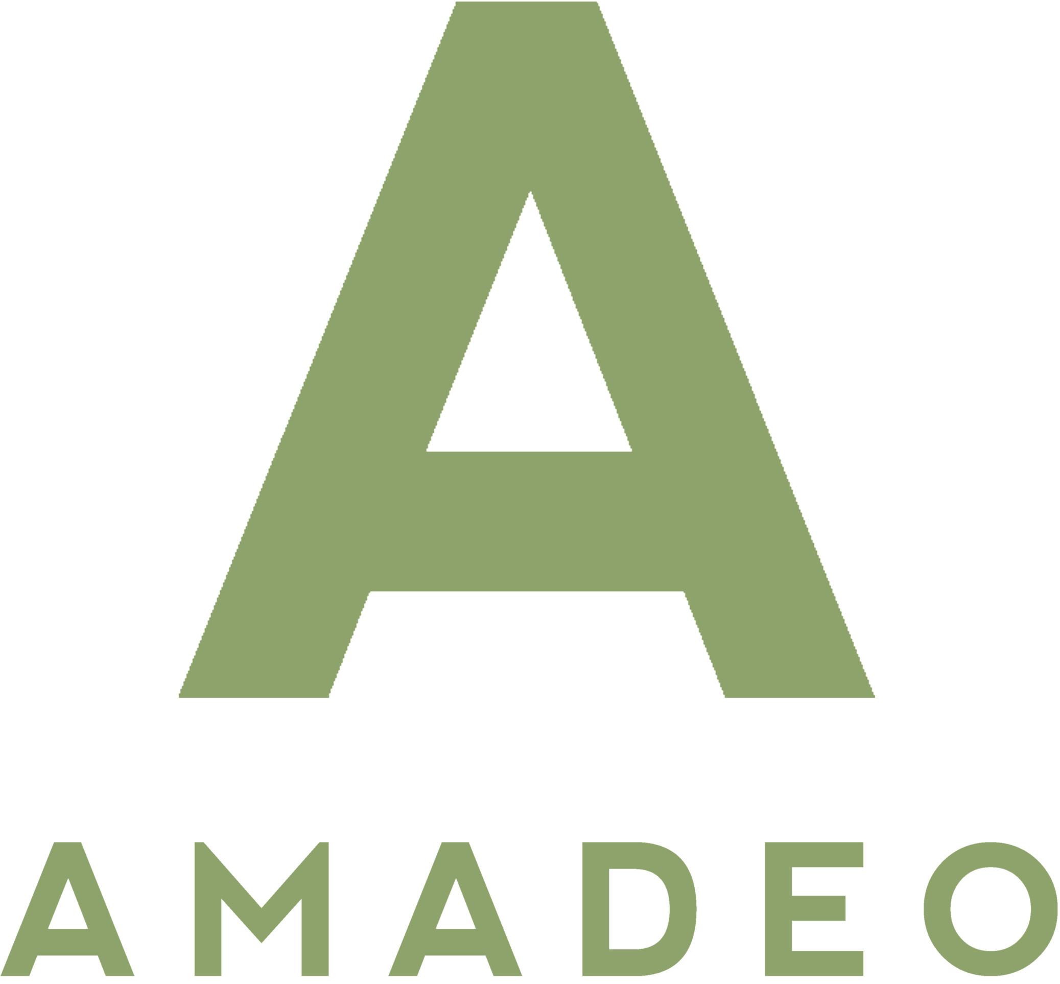 AMADEO FLEXENTRY  logo