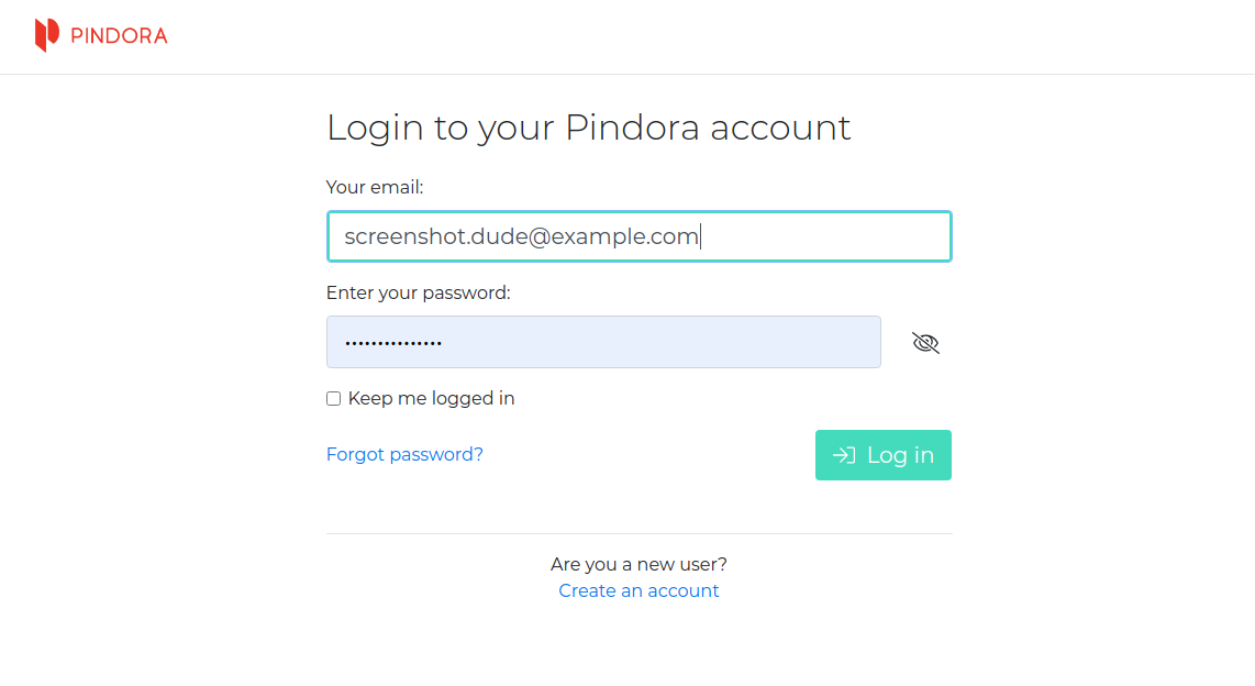 Pindora Access product image 3